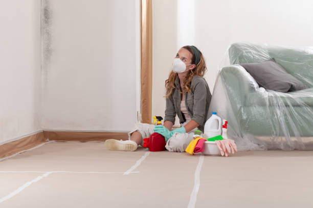 Reliable Mold Testing contractor in Spruce Creek, PA by WQB Mold Removal
